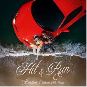 Hit and Run by Shensea