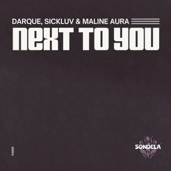 2ba64dcd111e18412ae6479238d41326 Darque – Next To You ft. Sickluv & Maline Aura