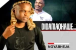 DIDAMAQHAWE  Ngiyabheja ft. Shenge Wasehlalankosi & Overload Thusi Mp3 Download