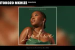 Nontokozo Mkhize  Walenga Mp3 Download