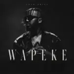 Sean Brizz  Wapeke Cover Art